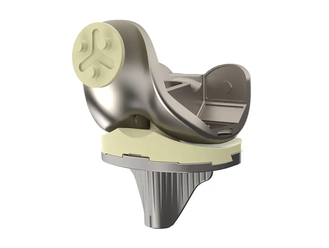 Posterior Stabilized (PS) Knee System