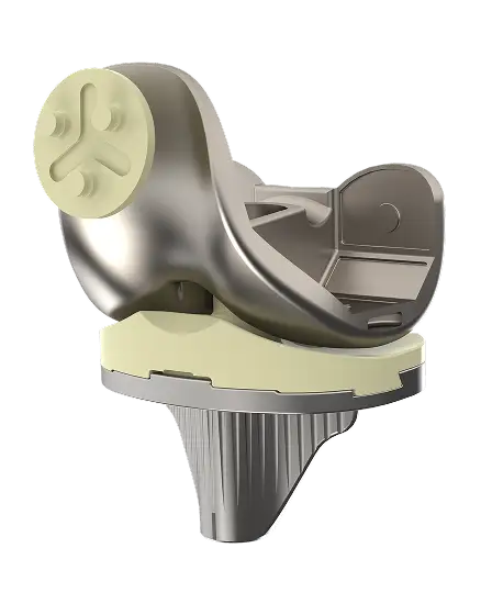 Posterior Stabilized (PS) and revision knee system